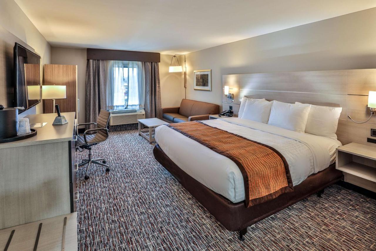 King Suite with Sofa Bed,1009914961:JPEG