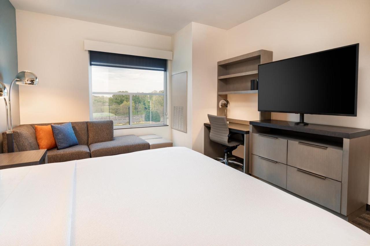 King Studio Suite with Kitchen and Sofa Bed,1131647355:JPEG