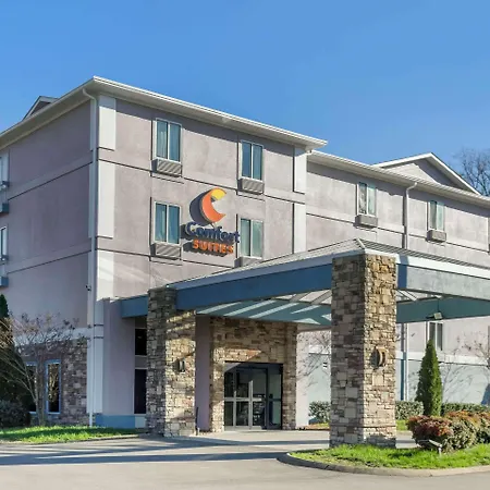 Comfort Suites Nashville Airport - Bna-3