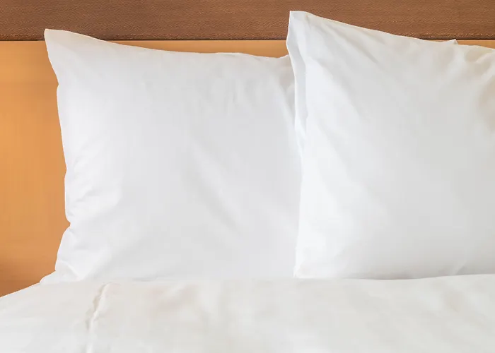 Hotels Downtown NashvilleHoliday Inn Express Airport By Ihg